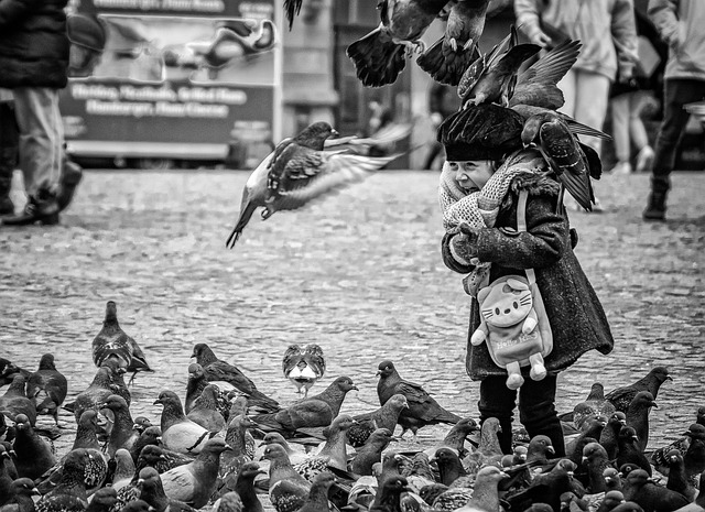 Succes behalen met een online marketing bureau in Amsterdam
